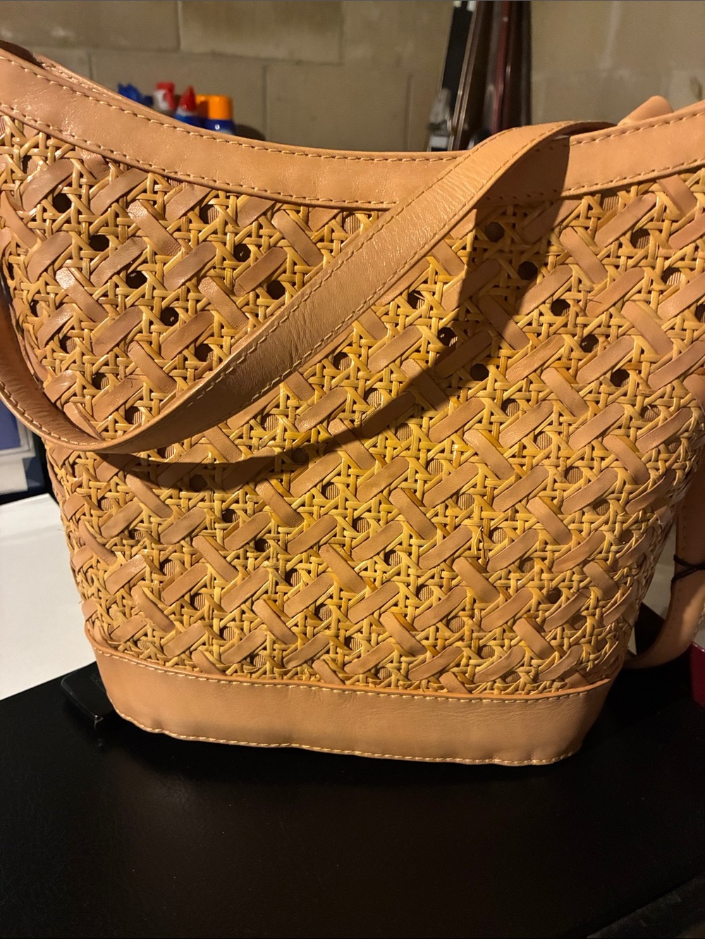 Etienne Aigner Woven Shoulder Bag in Honey Tan
